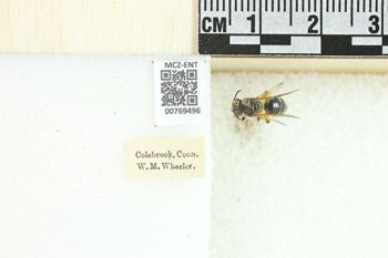Media type: image;   Entomology 769496 Aspect: Labels